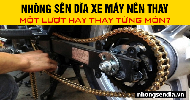 Nhông sên dĩa xe máy nên thay một lượt hay thay từng món - 1