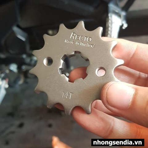 Nhông Recto 14T cho Raider