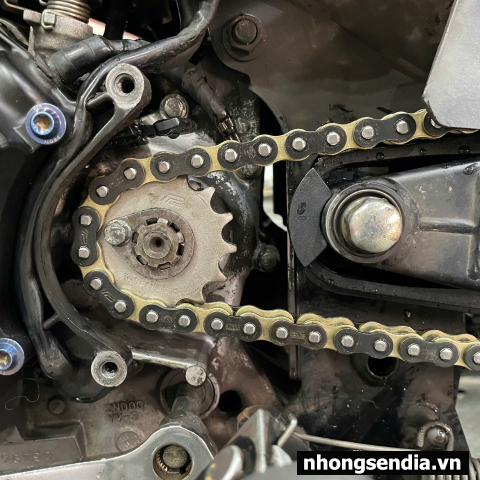 Nhông sên dĩa Pro-Bike tán đúc vàng đen cho Winner (44T) 428HS